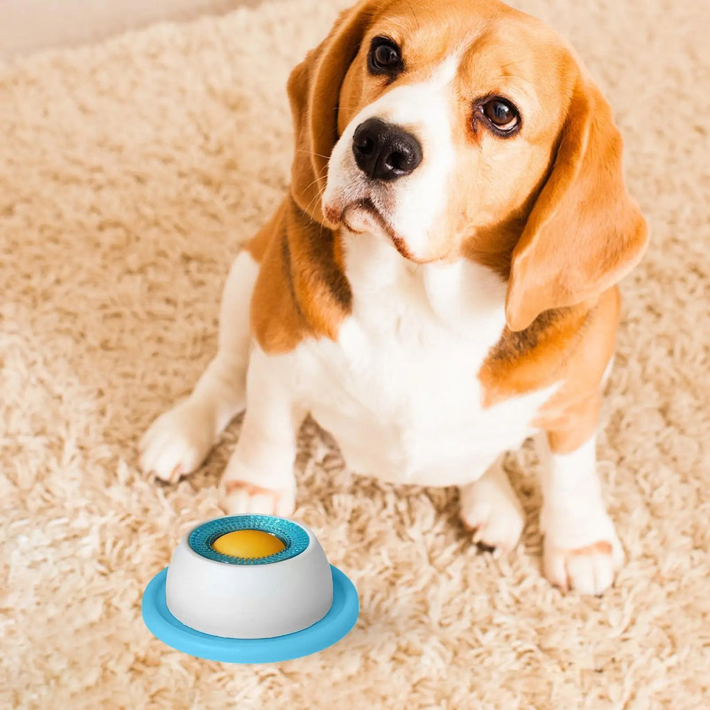 PETORA TreatPuzzle Slow Feeder Toy